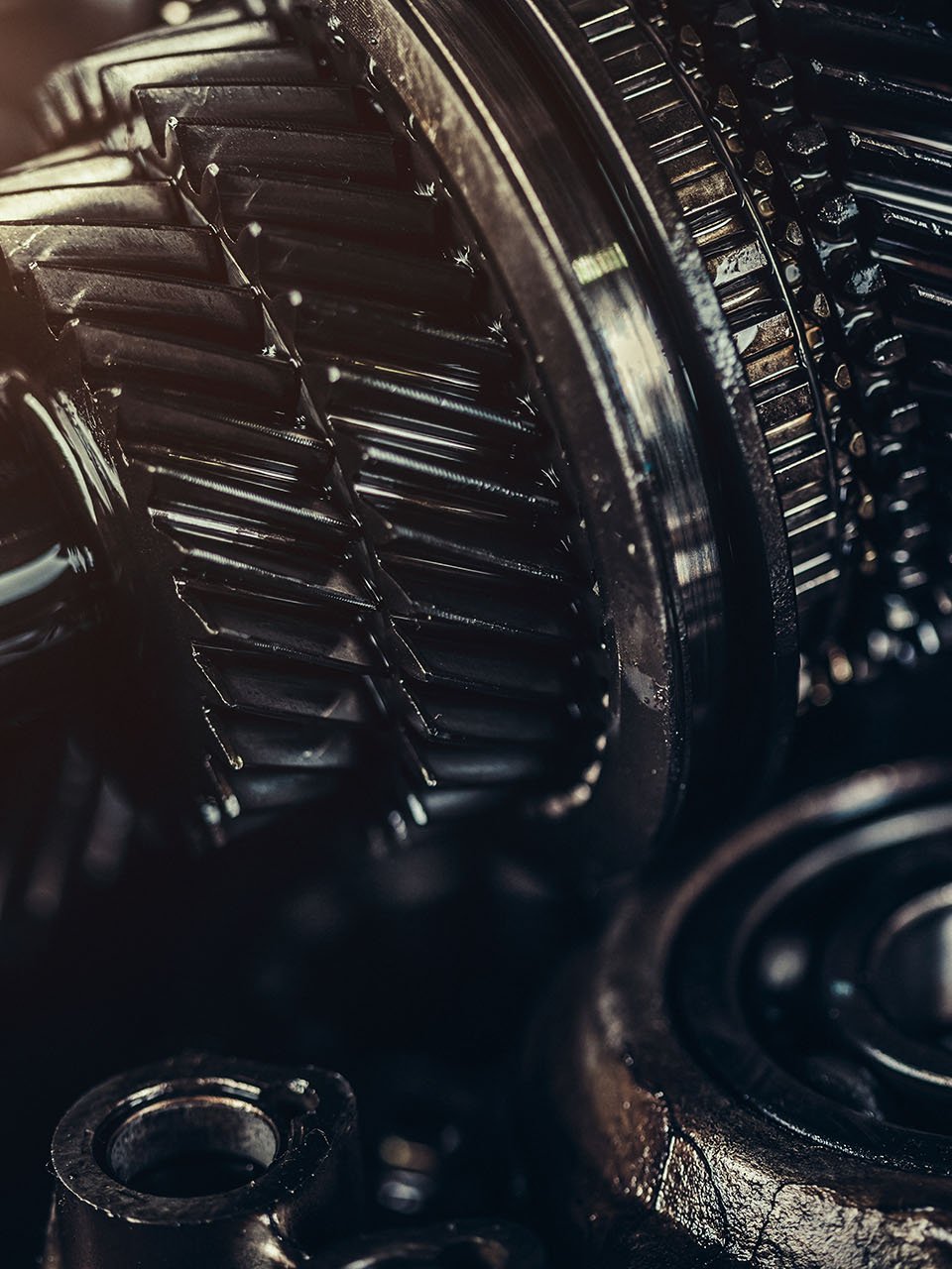 深色齿轮;已润滑