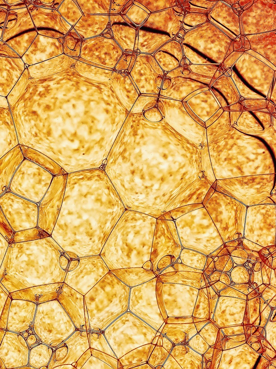 黄色润滑油特写