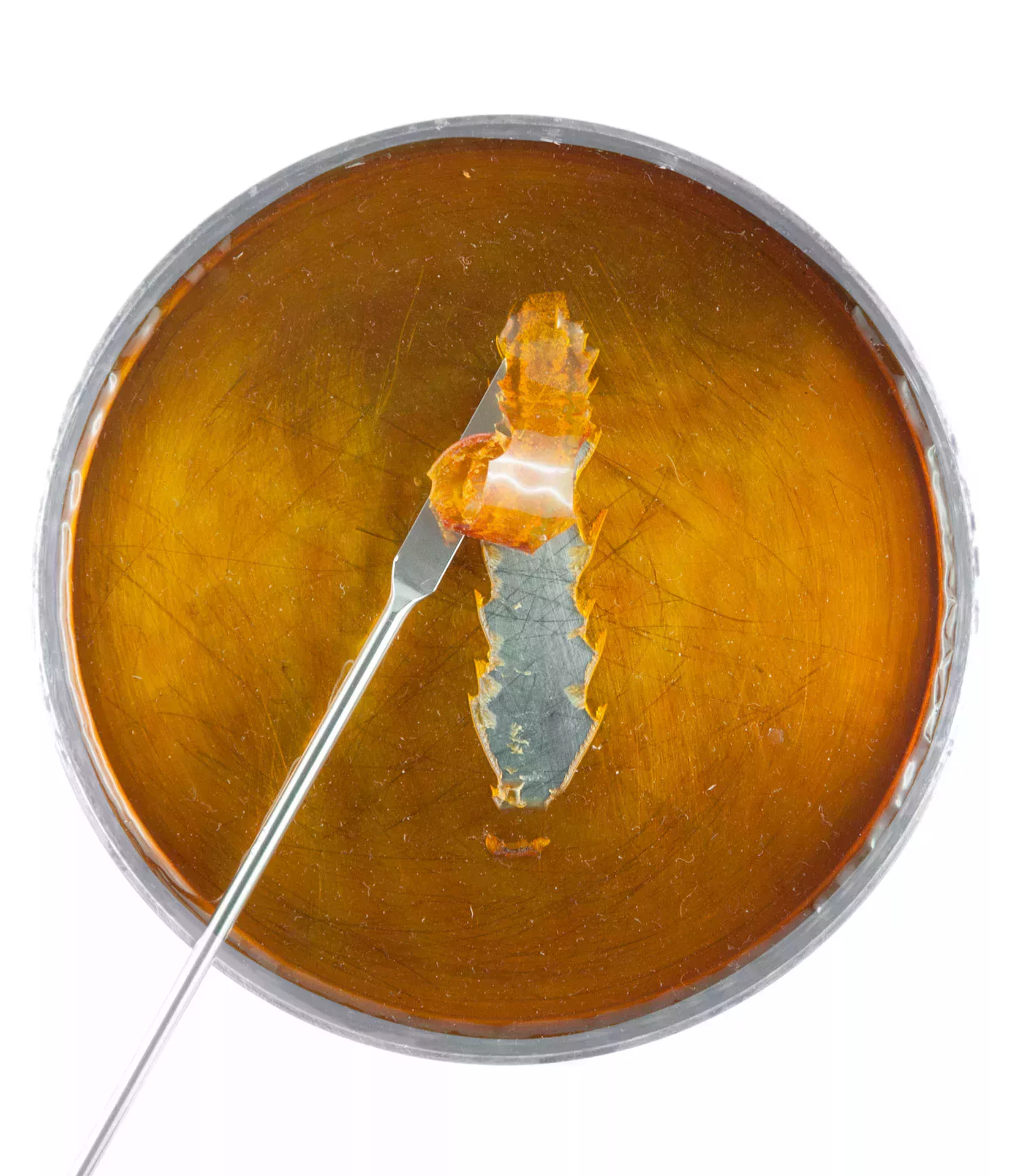 培养皿中的硬化润滑油