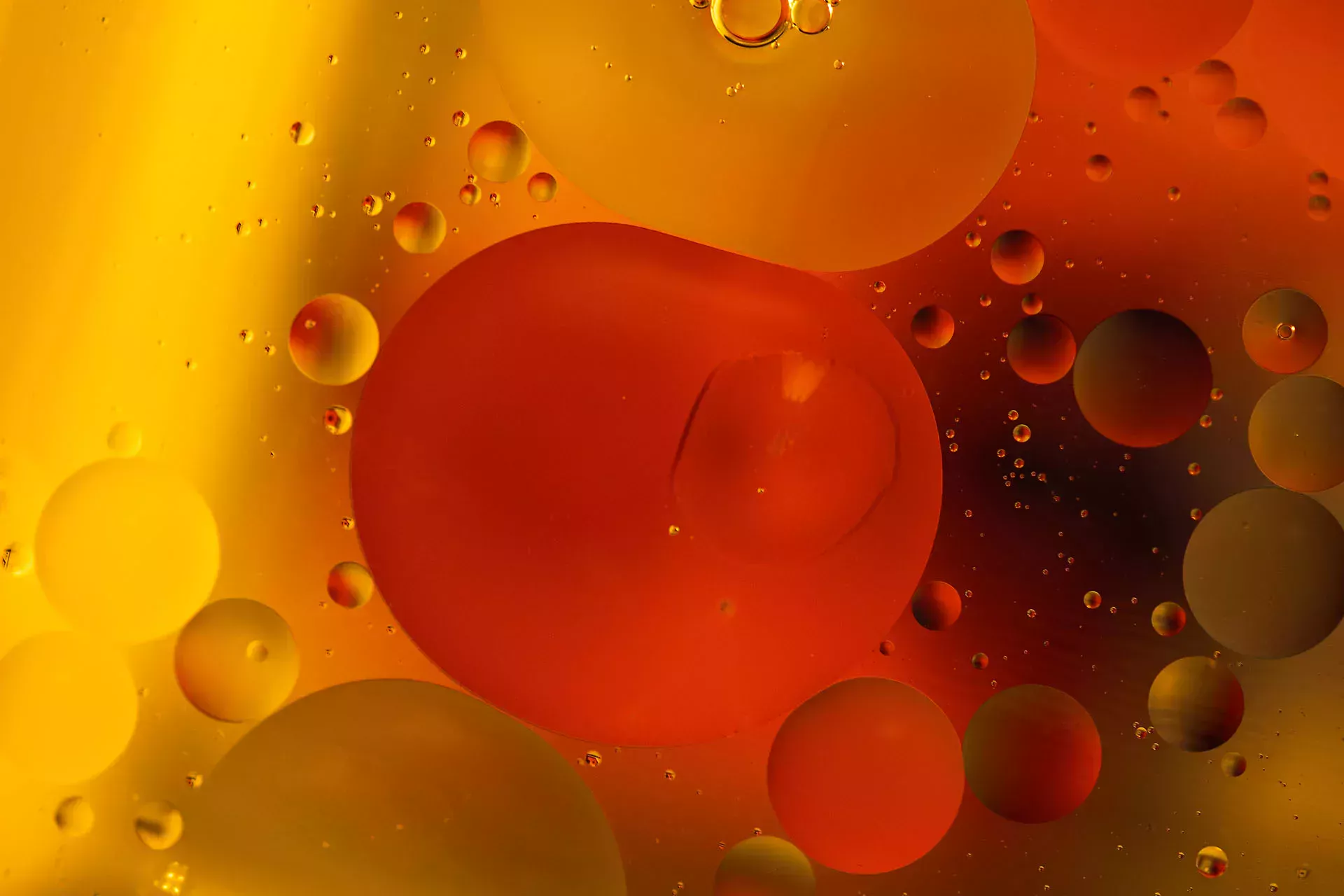 打开汽车引擎盖